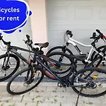 Lorenzo *